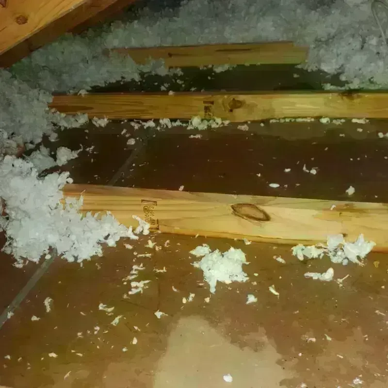 Attic Water Damage in Olathe, KS