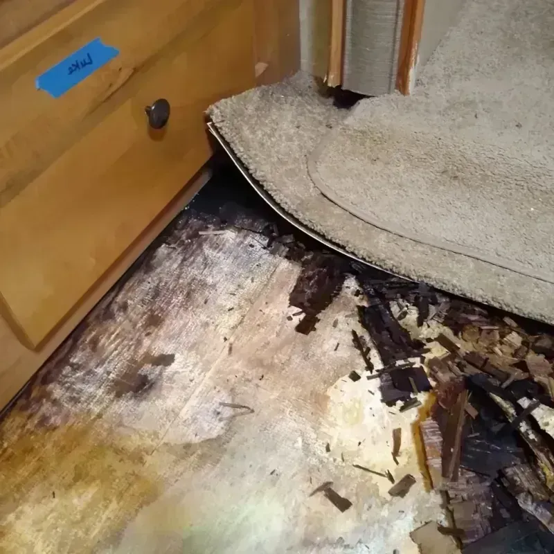 Wood Floor Water Damage in Olathe, KS